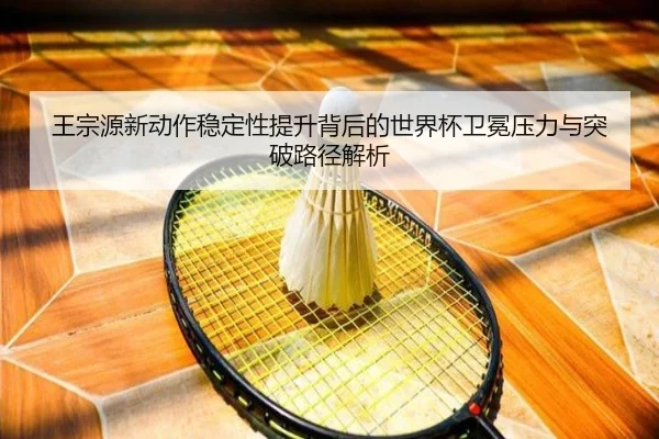 王宗源新动作稳定性提升背后的世界杯卫冕压力与突破路径解析（RAYESPORTS）