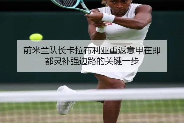 前米兰队长卡拉布利亚重返意甲在即 都灵补强边路的关键一步（RAYESPORTS）